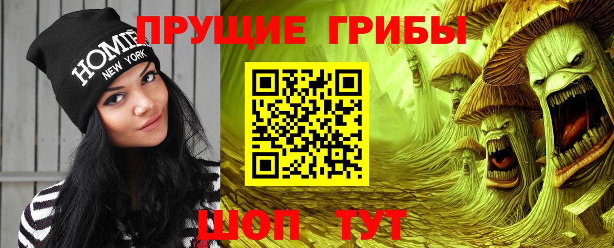 Псилоцибиновые грибы Cubensis Алейск
