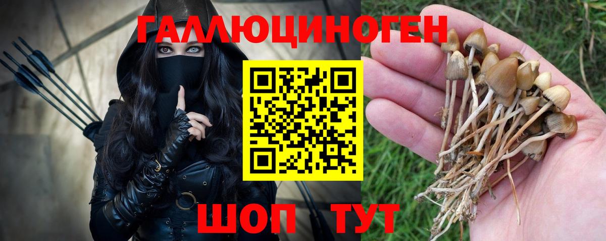 Алейск  Псилоцибиновые грибы Magic Shrooms  Вход с VPN  где купить   Псилоцибиновые грибы Magic Shrooms 